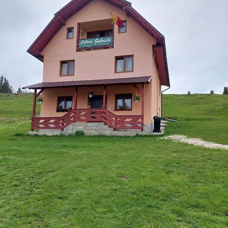 Cabana Gabriela Gîrda de Sus Buitenkant foto