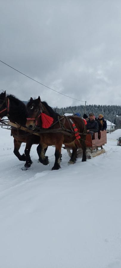 Cabana Gabriela Gîrda de Sus Buitenkant foto